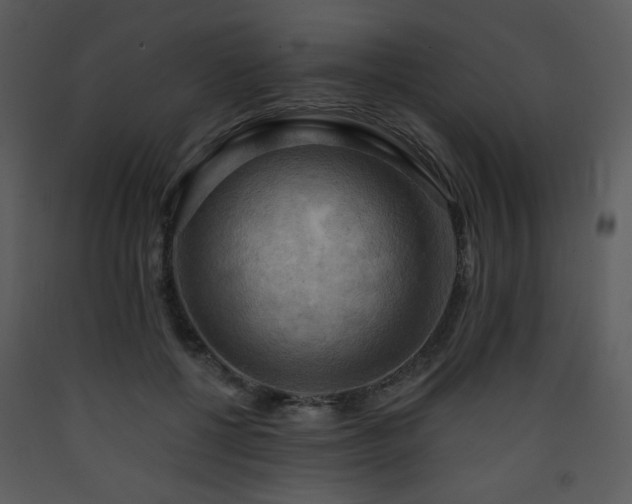 X0000090630552200707171450