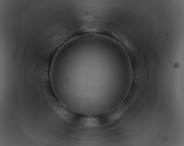 X0000090630553200707171450