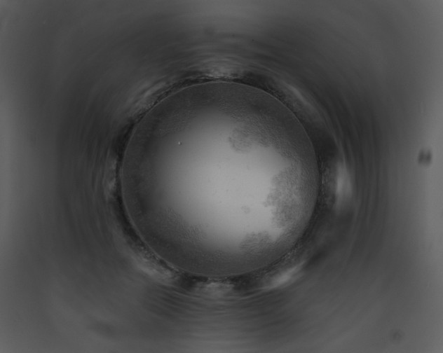 X0000090630554200707171450