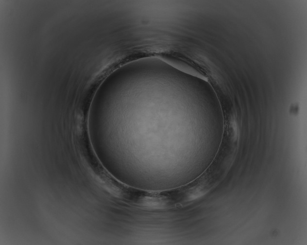 X0000090630556200707171450