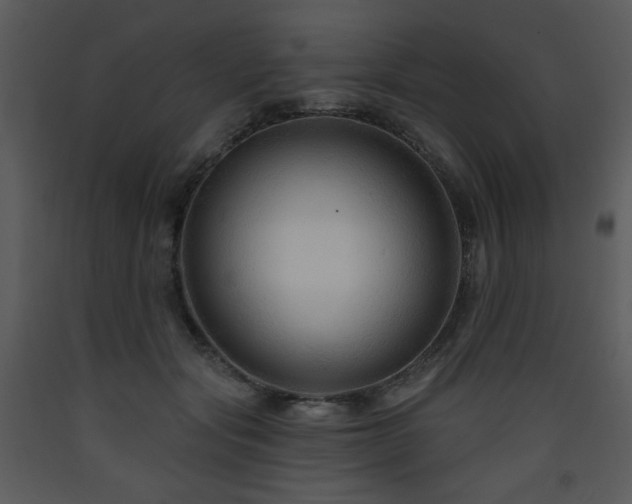 X0000090630557200707171450