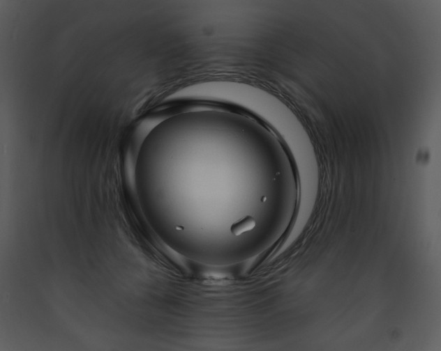 X0000090630560200707171450
