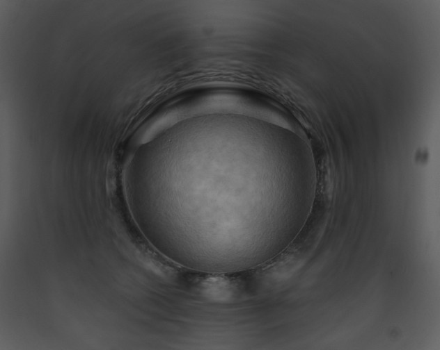 X0000090630562200707171450