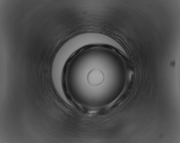 X0000090630564200707171450