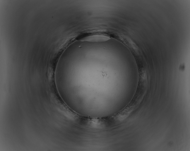 X0000090630565200707171450