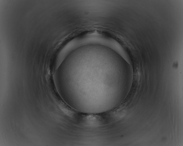 X0000090630566200707171450
