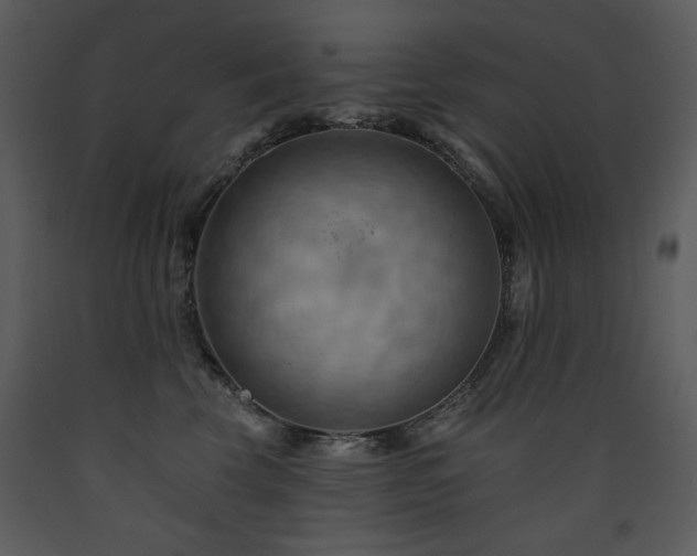 X0000090630569200707171450