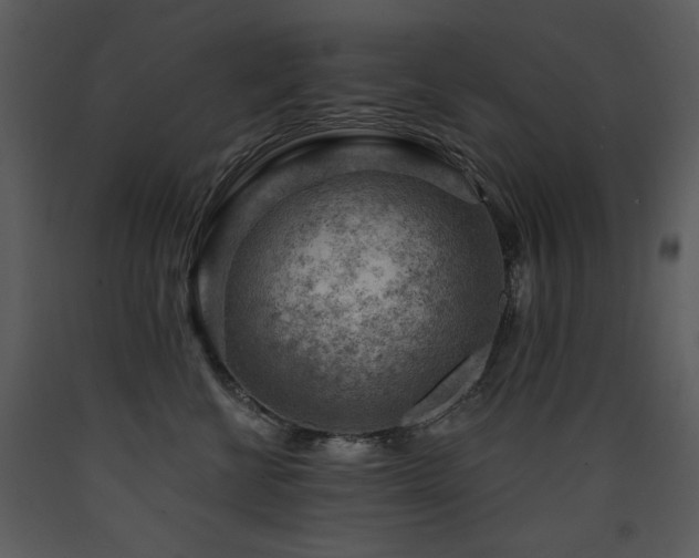 X0000090630570200707171450