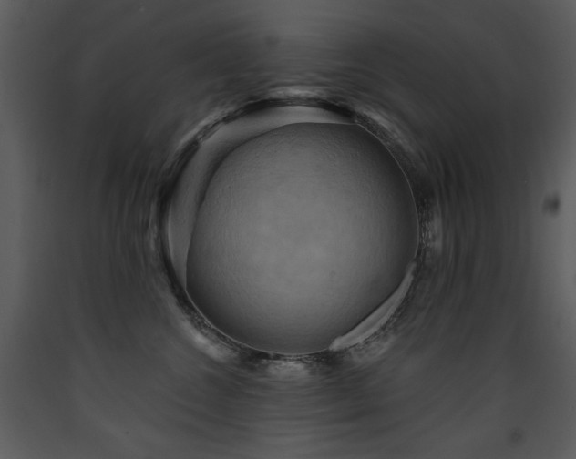 X0000090630572200707171450