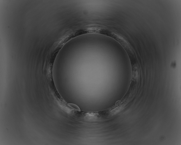 X0000090630573200707171450