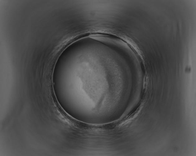 X0000090630577200707171449