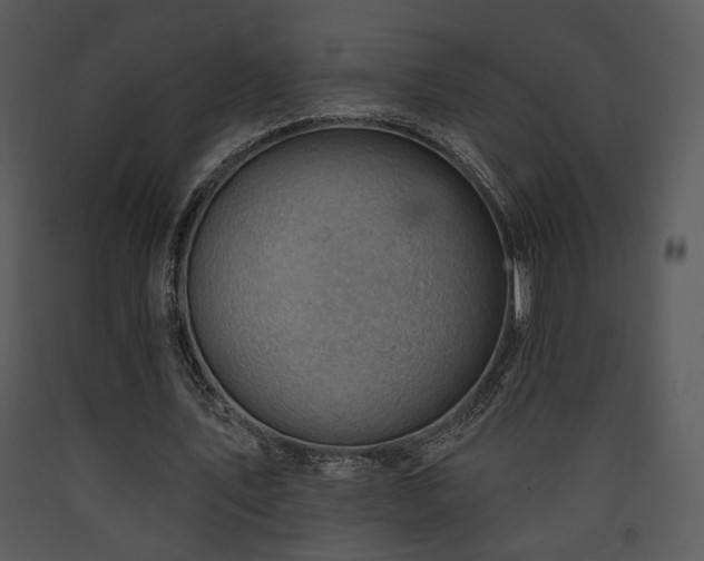 X0000090630579200707171449