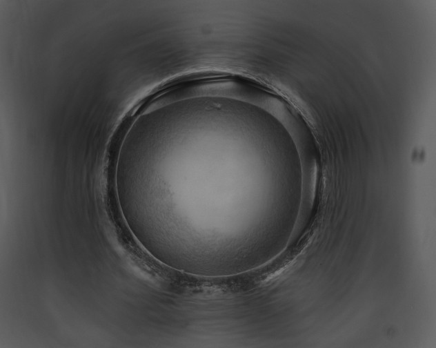 X0000090630580200707171449