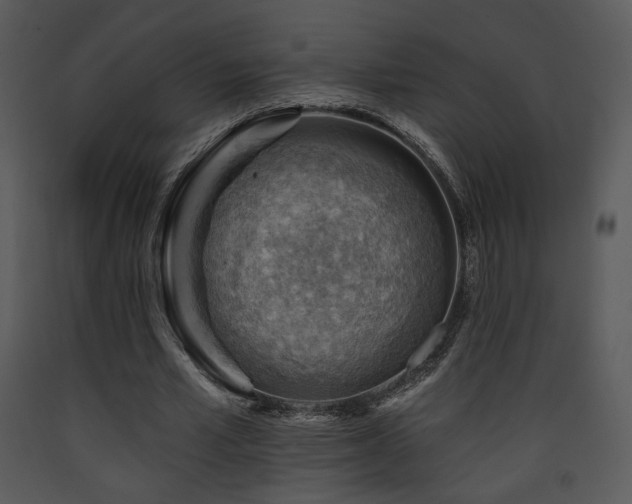 X0000090630581200707171449