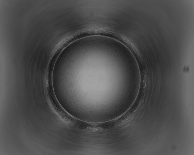 X0000090630582200707171449