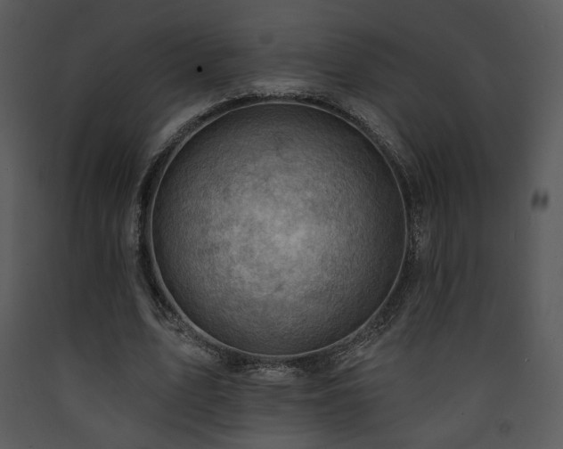 X0000090630583200707171449