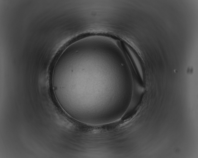 X0000090630584200707171449