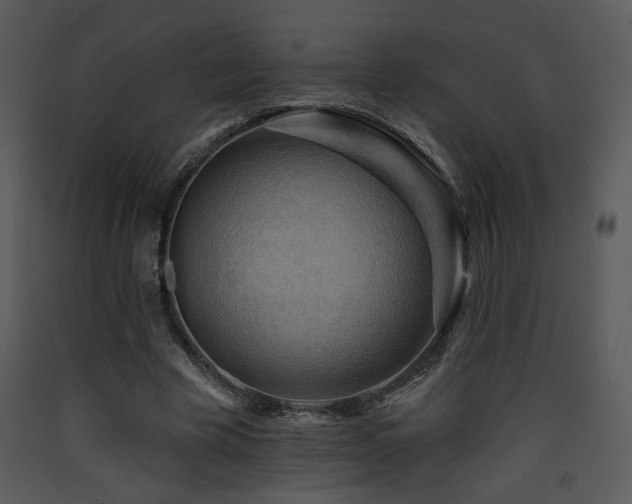 X0000090630585200707171449
