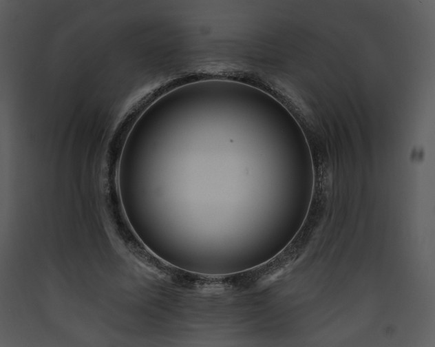 X0000090630587200707171449