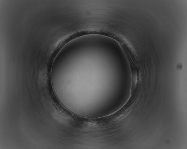 X0000090630588200707171449