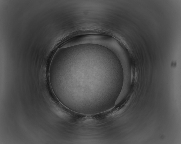 X0000090630589200707171449