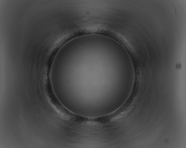 X0000090630590200707171449