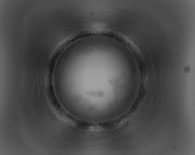 X0000090630591200707171449