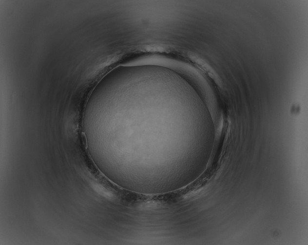 X0000090630593200707171449