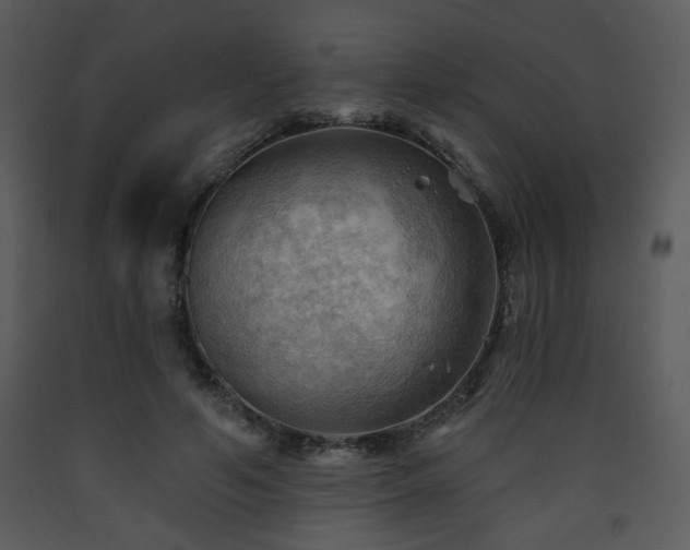X0000090630594200707171449