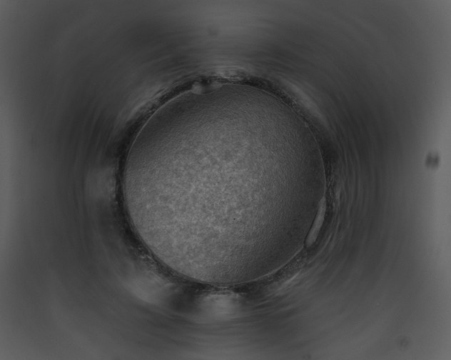 X0000090630595200707171449