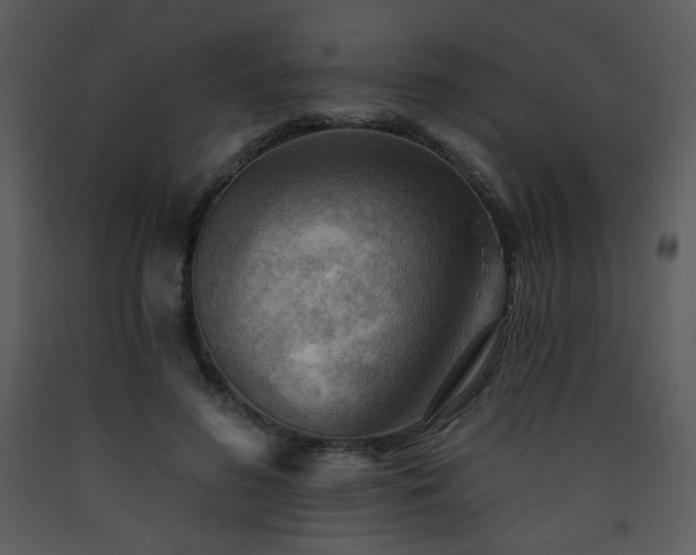 X0000090630596200707171449