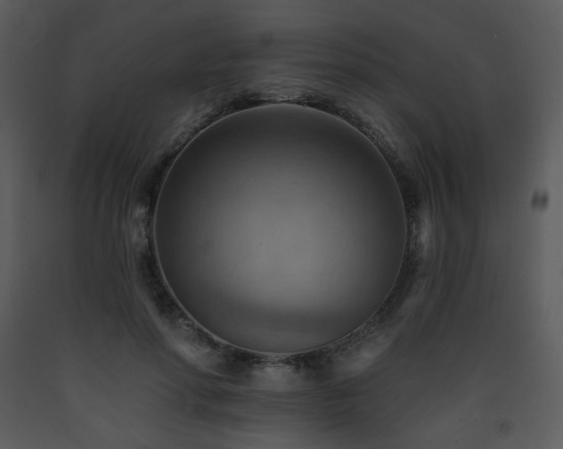 X0000090630598200707171449