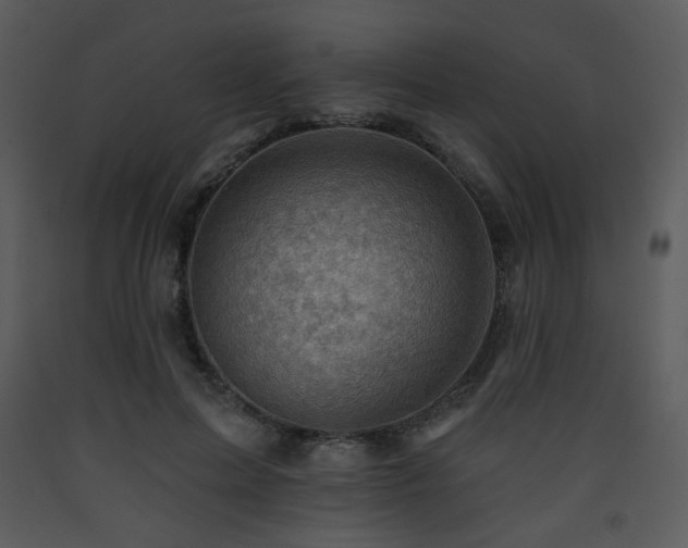 X0000090630599200707171449