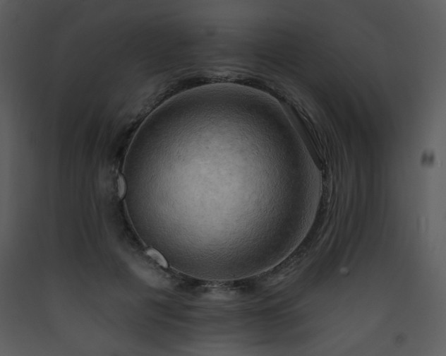 X0000090630601200707171449