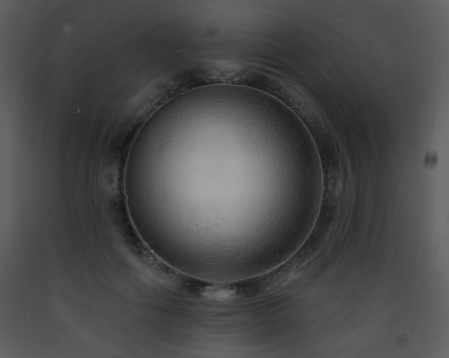 X0000090630602200707171449