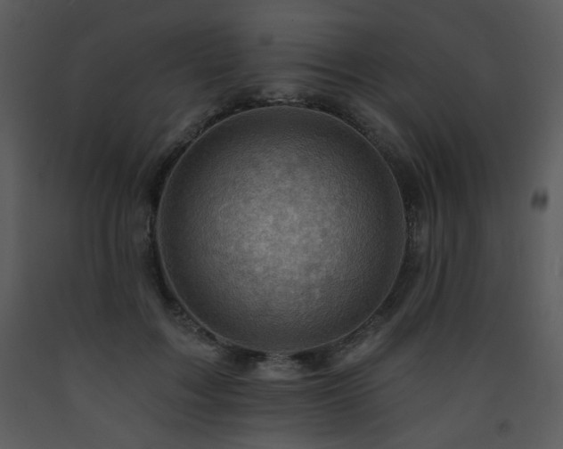 X0000090630603200707171449