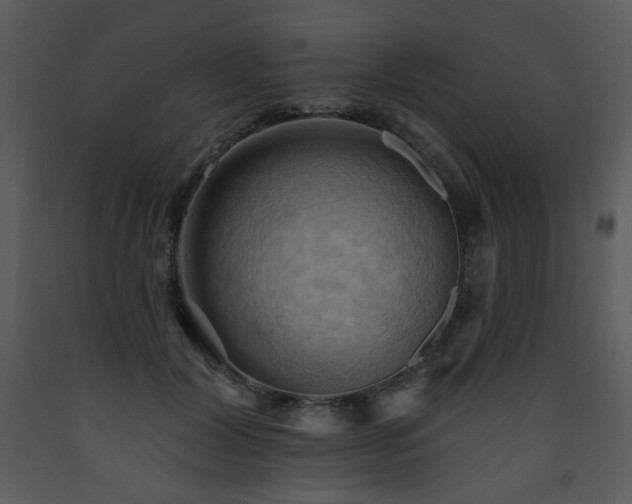 X0000090630604200707171449