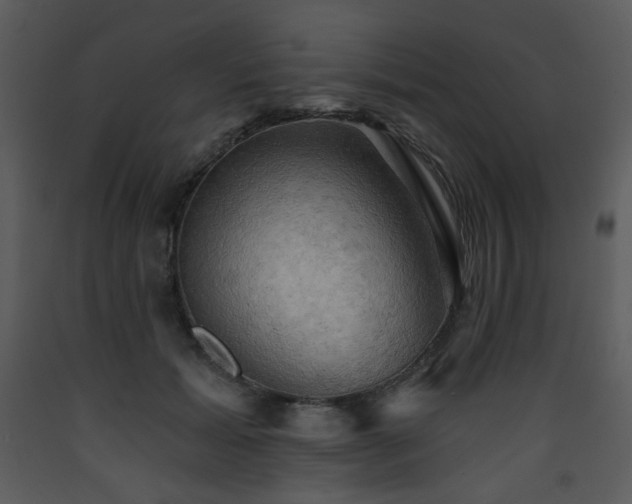 X0000090630605200707171449