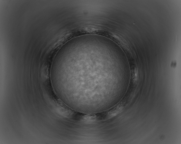 X0000090630606200707171449