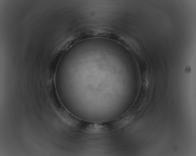 X0000090630607200707171449
