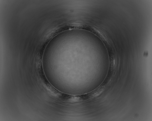 X0000090630609200707171449