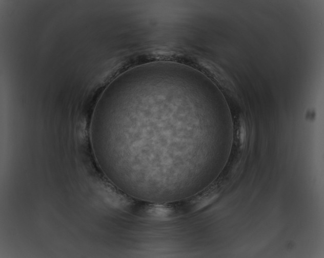 X0000090630610200707171449
