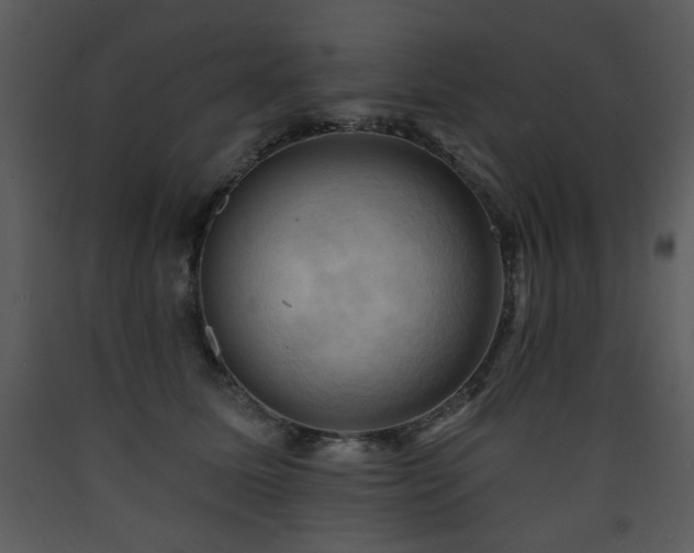 X0000090630611200707171449