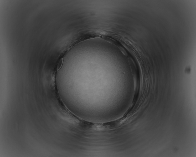 X0000090630613200707171449