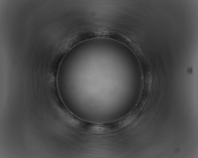 X0000090630614200707171449