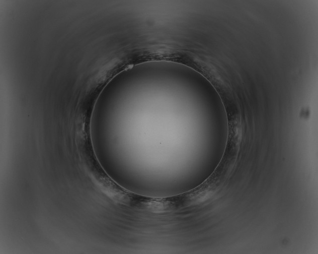 X0000090630615200707171449