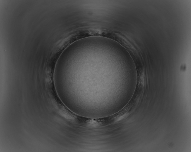 X0000090630616200707171449