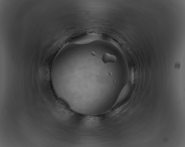 X0000090630617200707171449