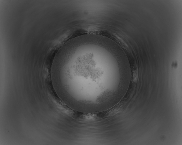 X0000090630618200707171449