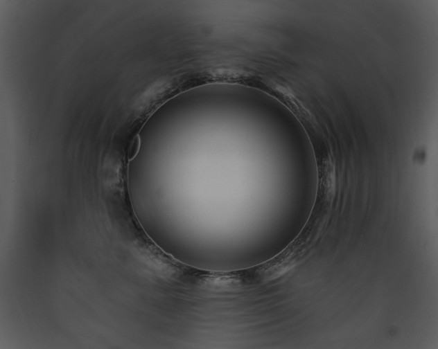 X0000090630619200707171449